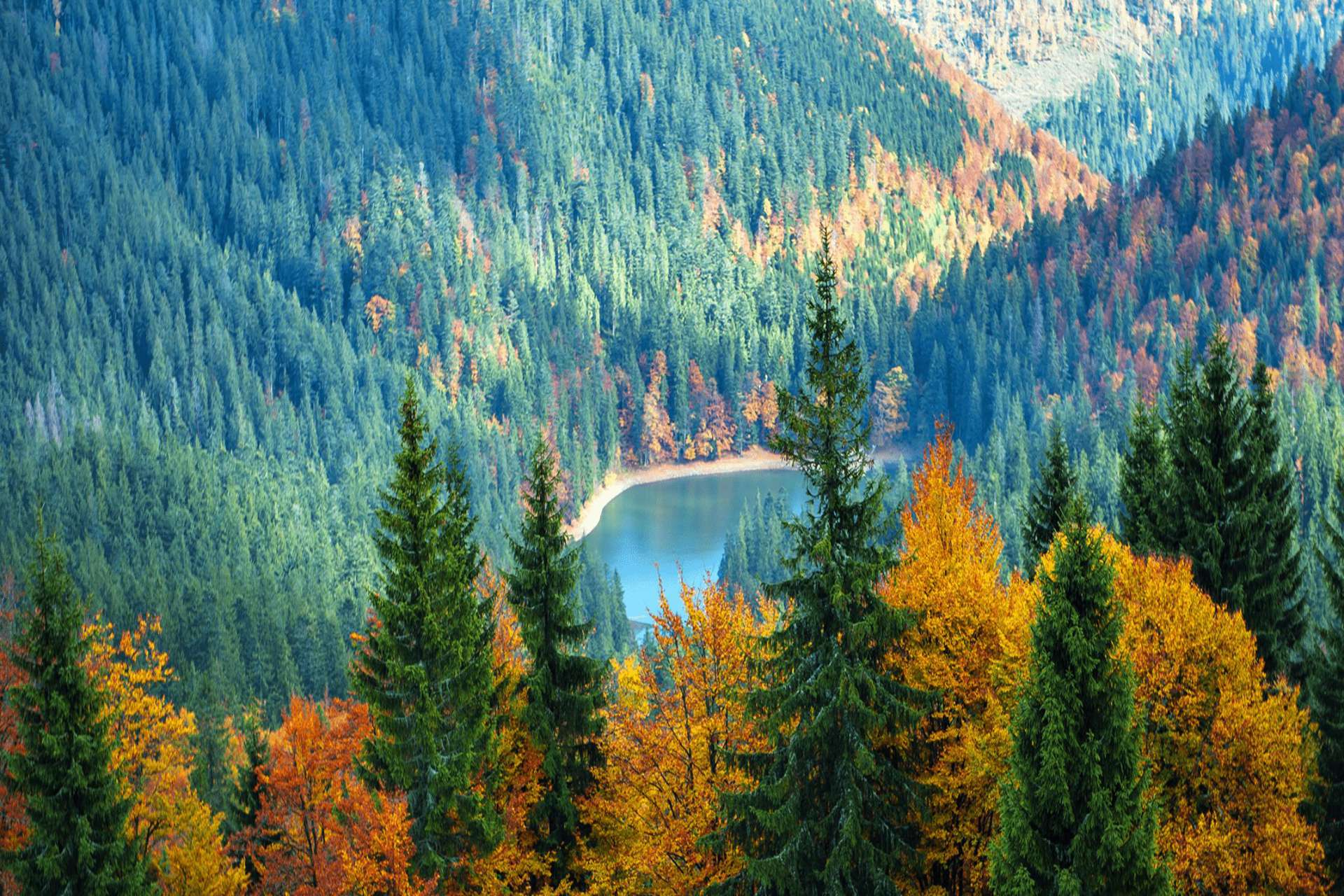 О. Синевір – головна перлина Національного Синевирського природного парку (назва) і України взагалі